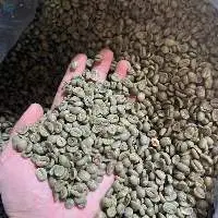 Vietnam Arabica Coffee Beans (Fully Washed)