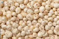 Fox Nuts (Makhana)