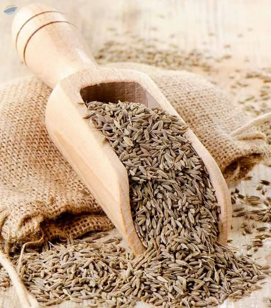 Cumin