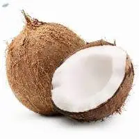 Coconut (Semi Husked and Fully Husked)