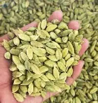 Premium Quality Green Cardamom Spice