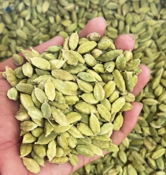 Premium Quality Green Cardamom Spice