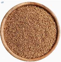 Premium Coriander Seeds Fresh Aromatic Spice