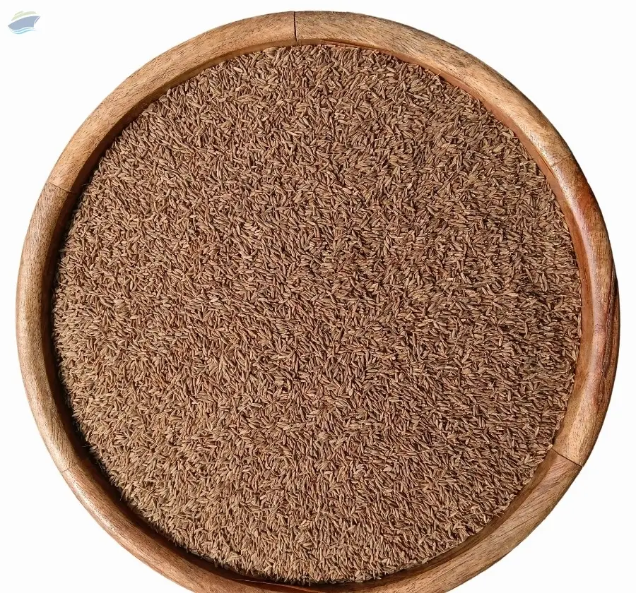 Premium Cumin Seeds Natural Spice Pack