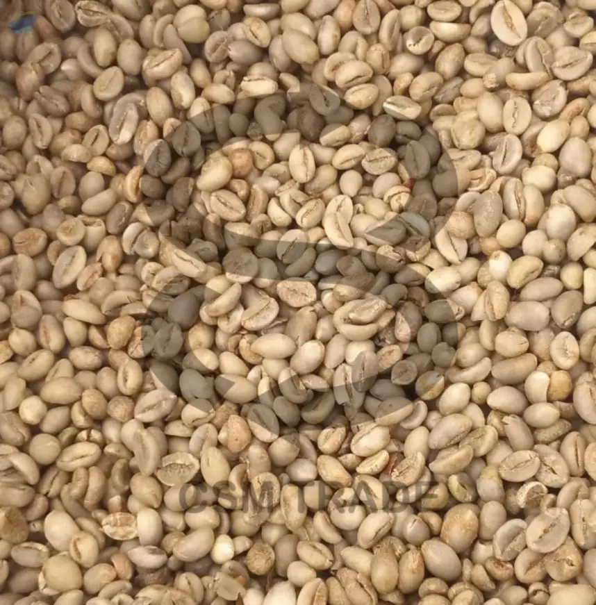 Indonesian Robusta Temanggung Green Coffee
