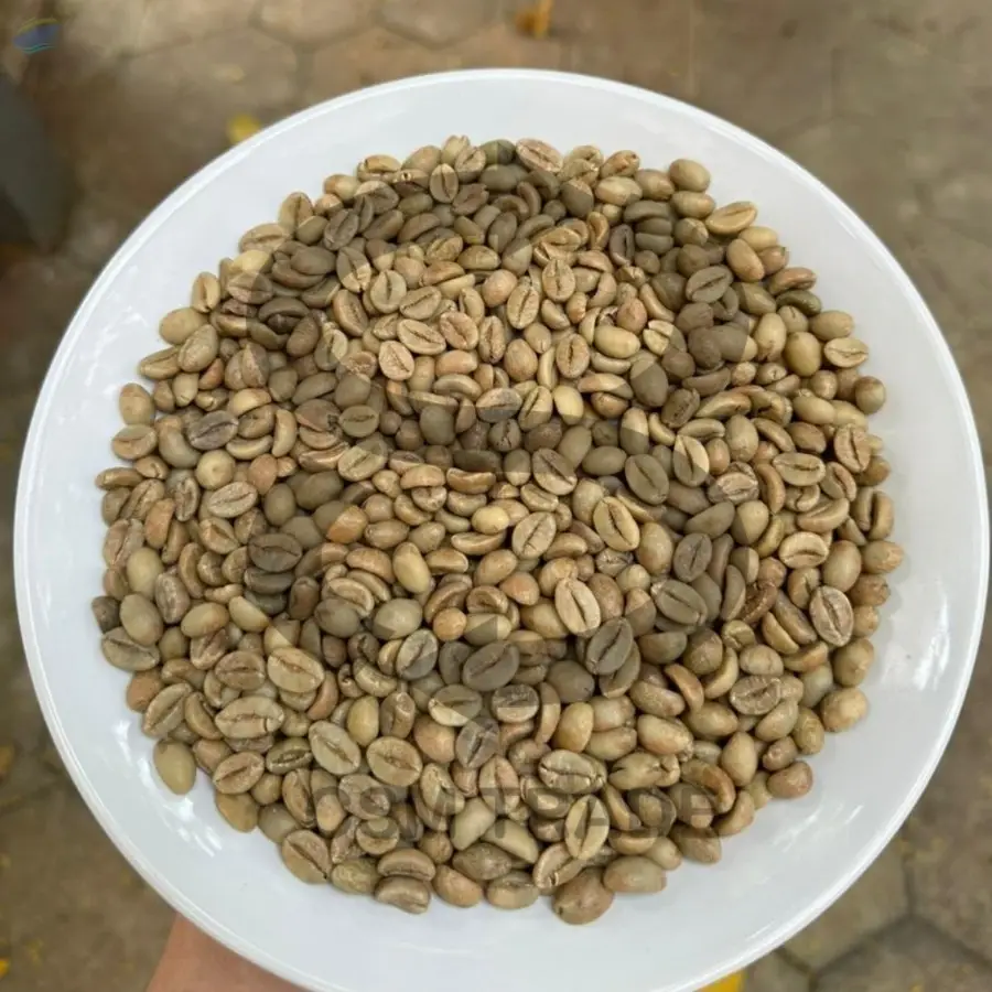 Robusta Java Temanggung Coffee Beans