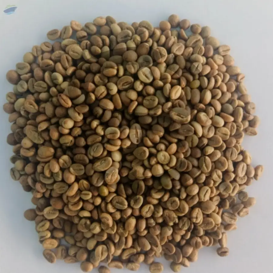Robusta Ijen Mountain Coffee Beans (conuga)