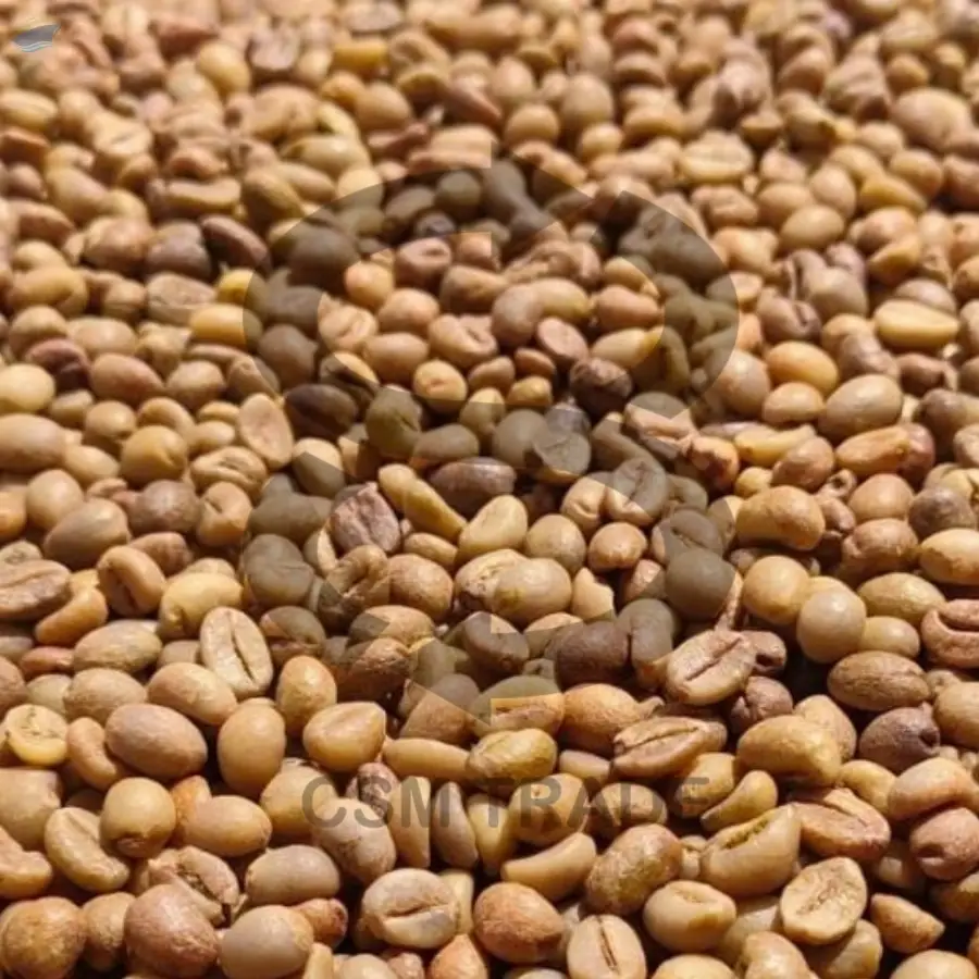 Robusta Gayo Coffee Beans