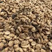 Arabica Gayo Coffee Beans