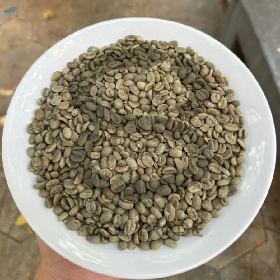 Arabica Java Preanger Full Washed Beans