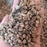 Arabica Ijen Wild Life Coffee Beans