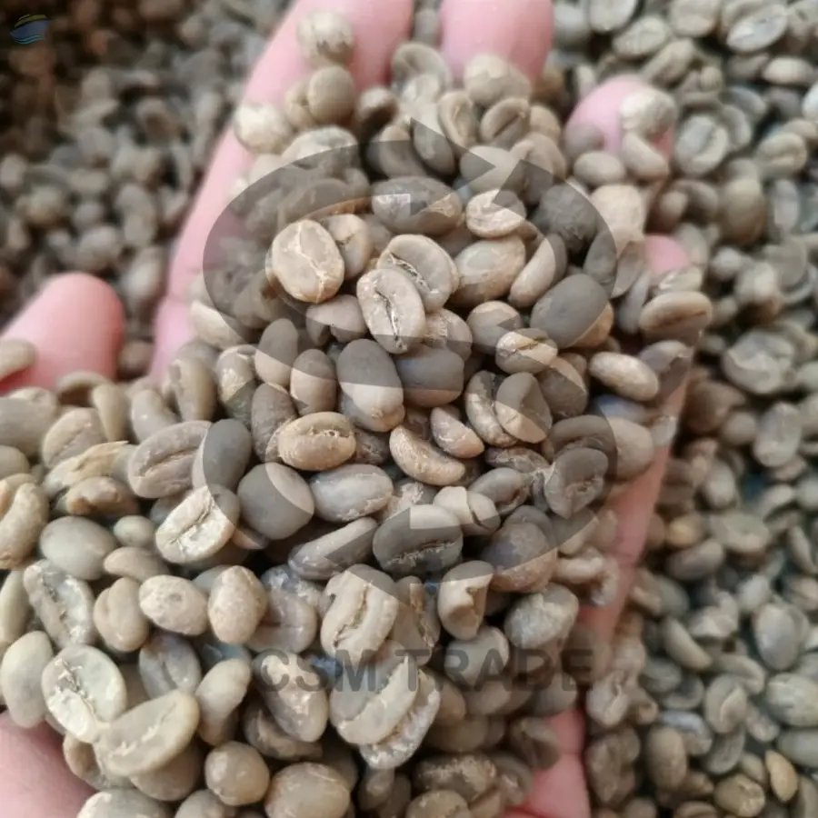 Arabica Ijen Wild Civet Coffee Beans