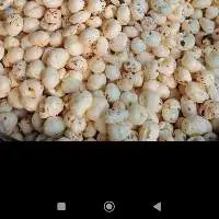 Foxnut/Makhana