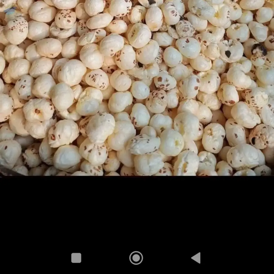 Foxnut/Makhana