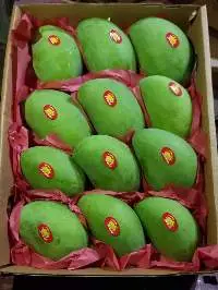 Fresh Egyptian Mango Premium Export Quality