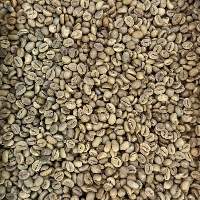 Robusta Java Green Coffee Beans