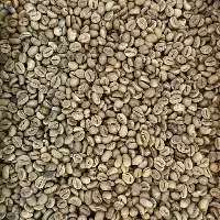Robusta Java Green Coffee Beans