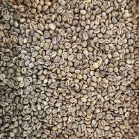Robusta Java Green Coffee Beans