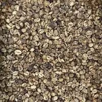 Robusta Java Green Coffee Beans