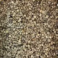 Robusta Java Green Coffee Beans