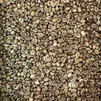 Robusta Java Green Coffee Beans