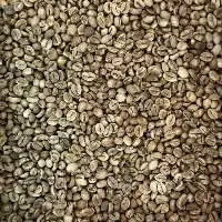 Robusta Java Green Coffee Beans