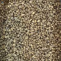 Robusta Java Green Coffee Beans