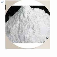 Premium China Clay Kaolin Powder for Industry