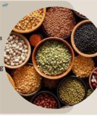 Pulses