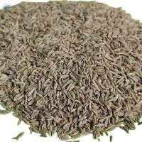 Premium Quality Indian Cumin Seeds (Jeera)