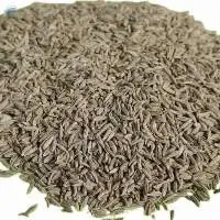 Premium Quality Indian Cumin Seeds (Jeera)