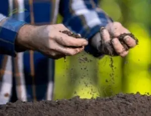 Fertilizers