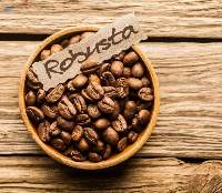Premium Robusta Coffee Beans for Export
