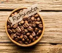 Premium Robusta Coffee Beans for Export