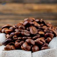 Arabica Coffee Beans - Screen 15, 16 & 17