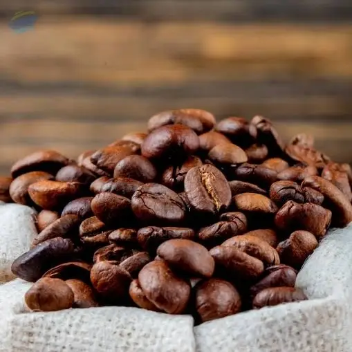 Arabica Coffee Beans - Screen 15, 16 & 17
