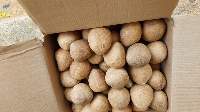 Dried Coconut Ball Copra