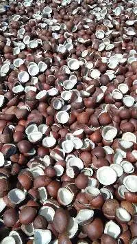 Dried Coconut Rajapuri Black Half Cut