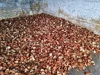 Dried Coconut Milling Copra