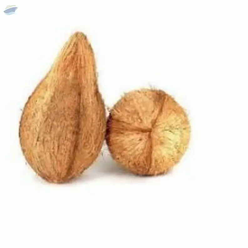 Semi Husked Coconut