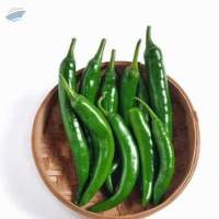 Green Chilli