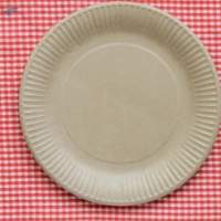 Disposable Plates