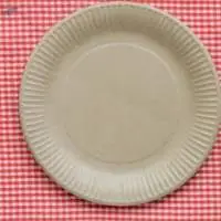 Disposable Plates