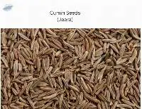 Cumin Seeds ( Jeera)