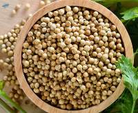 Coriander Seed