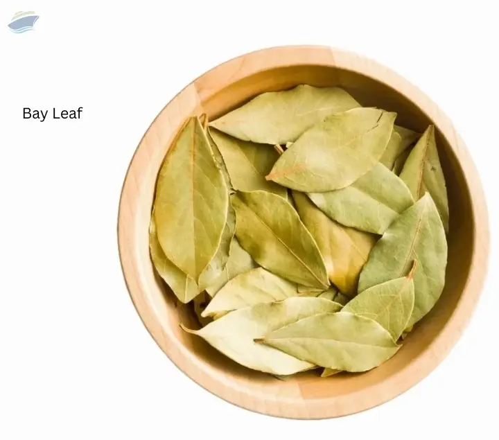 Bay Leaf