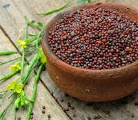 Mustard Seeds