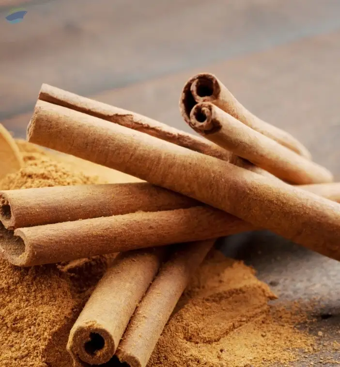 Cinnamon Stick