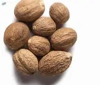 Nutmeg 