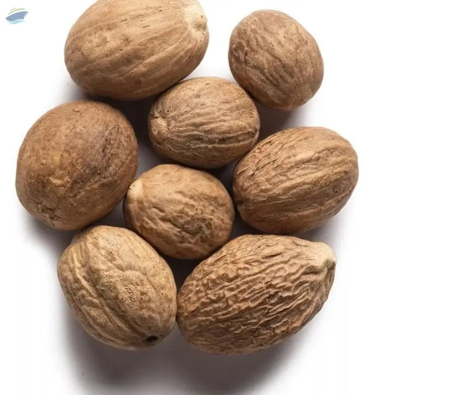 Nutmeg 